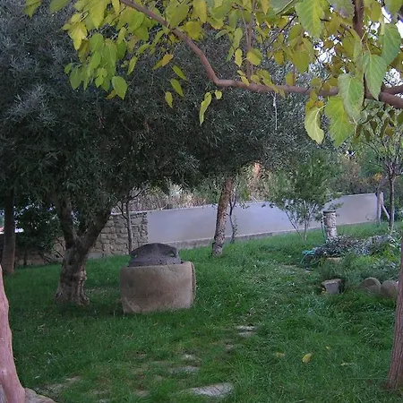 Sa Domu De Sa Contissa 3* Selegas