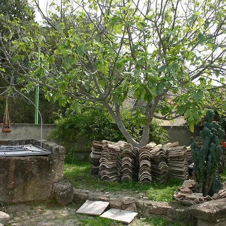 Sa Domu De Sa Contissa Bed and Breakfast