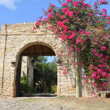 Sa Domu De Sa Contissa Bed & Breakfast