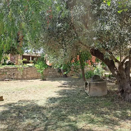 Sa Domu De Sa Contissa Bed and breakfast Selegas