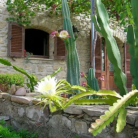 Sa Domu De Sa Contissa Bed & Breakfast Selegas