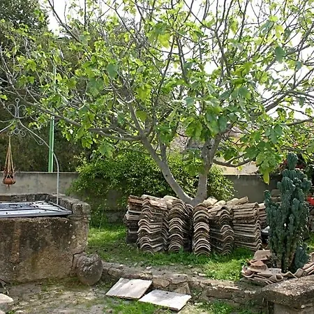 Bed & Breakfast Sa Domu De Sa Contissa